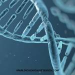 Shivani Profile Picture