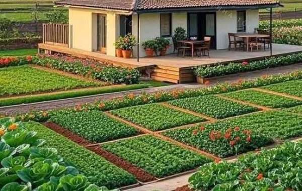 Texas Rangers Academy Laptop for May well 13, 2022