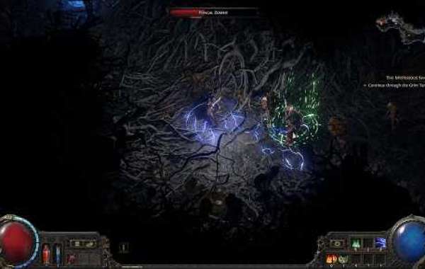 Count Geonor Survival Tips For POE 2 From U4GM