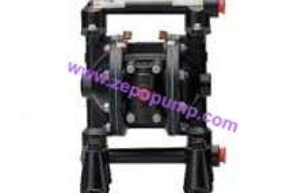 ZhanBo Reveals What Smart Capabilities a China Diaphragm Pump Factory Can Offer