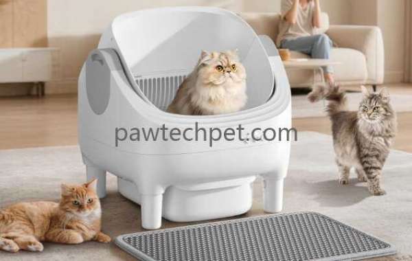 Advanced Solutions for Automated Pet Care